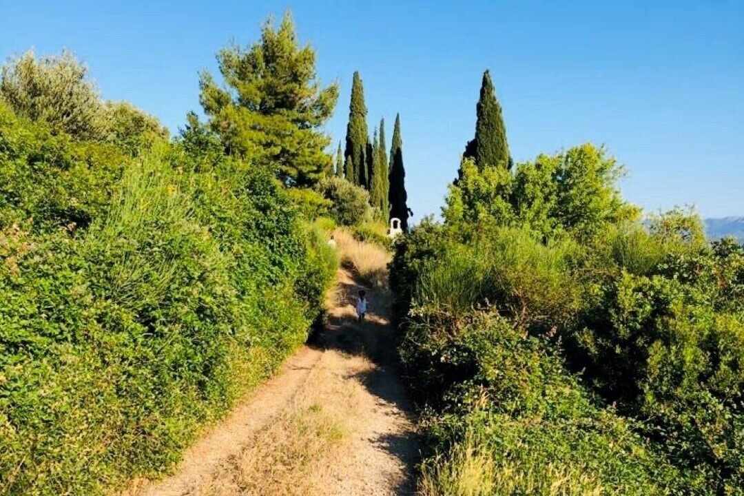 Photo of Outdoor in Murvica