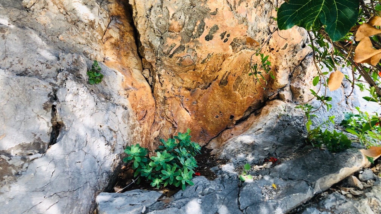 Photo of Outdoor in Murvica