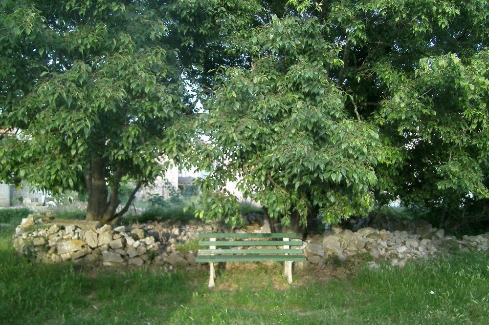 Photo of Others in Sveti Jakov