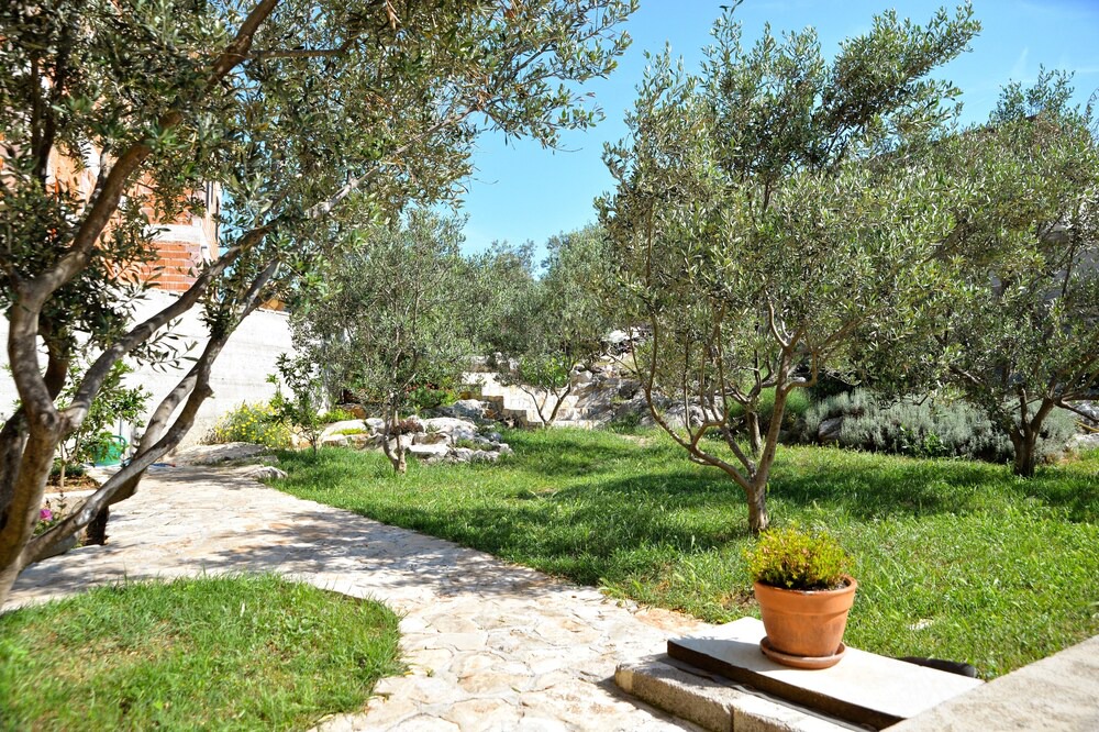 Photo of Outdoor in Susica