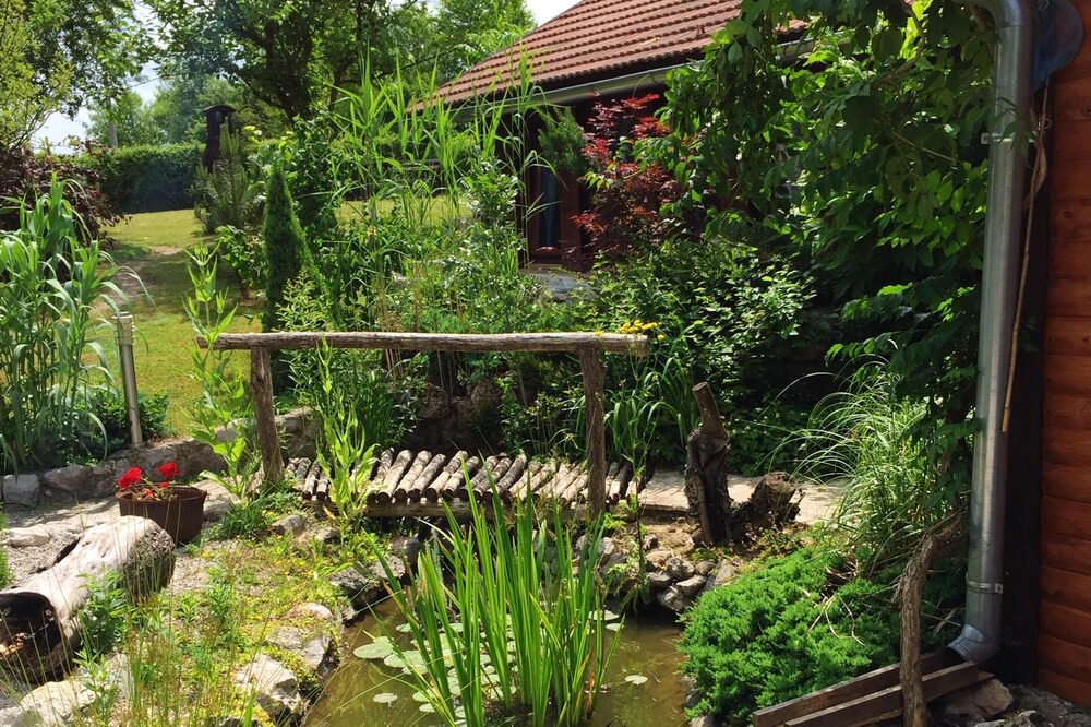 Photo of Outdoor in Rakovica