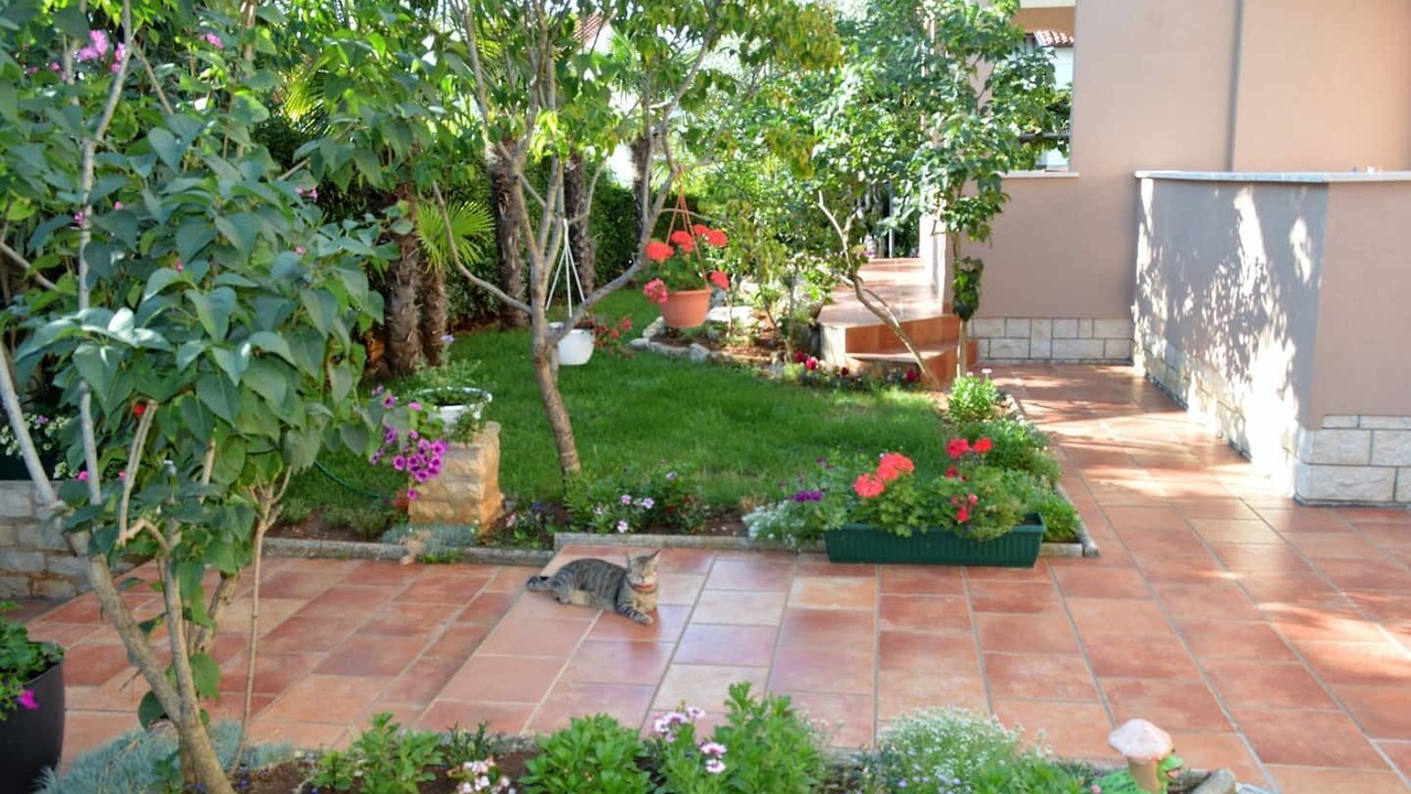 Photo of Outdoor in Porec