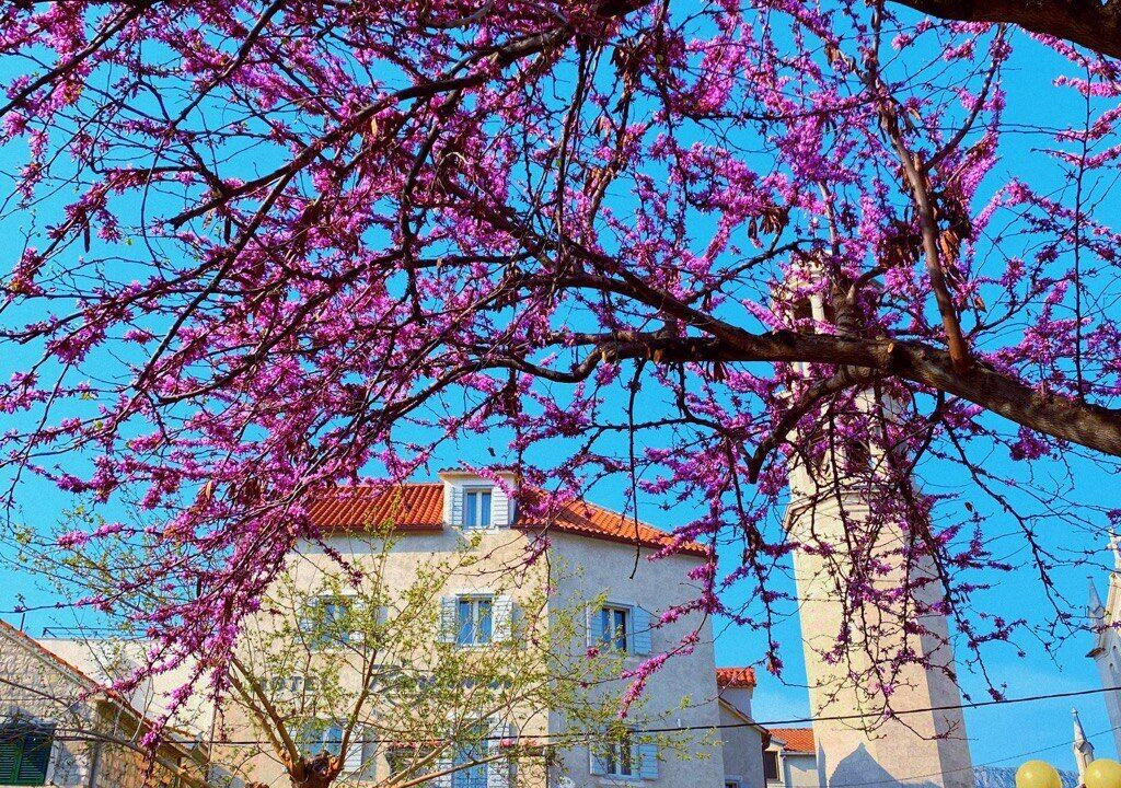 Photo of Outdoor in Kastel Novi