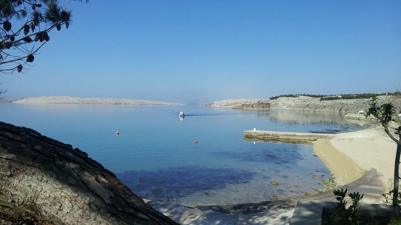 Photo of Others in Rtina