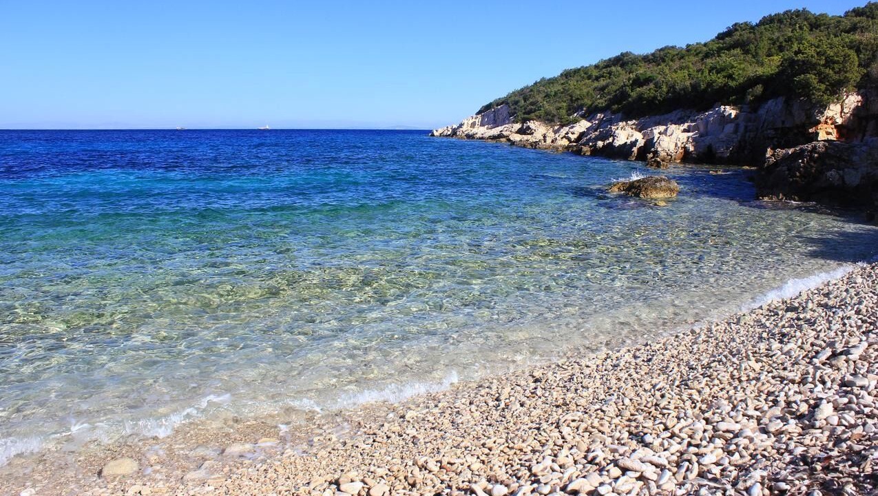 Photo of Others in Cove Rogacic