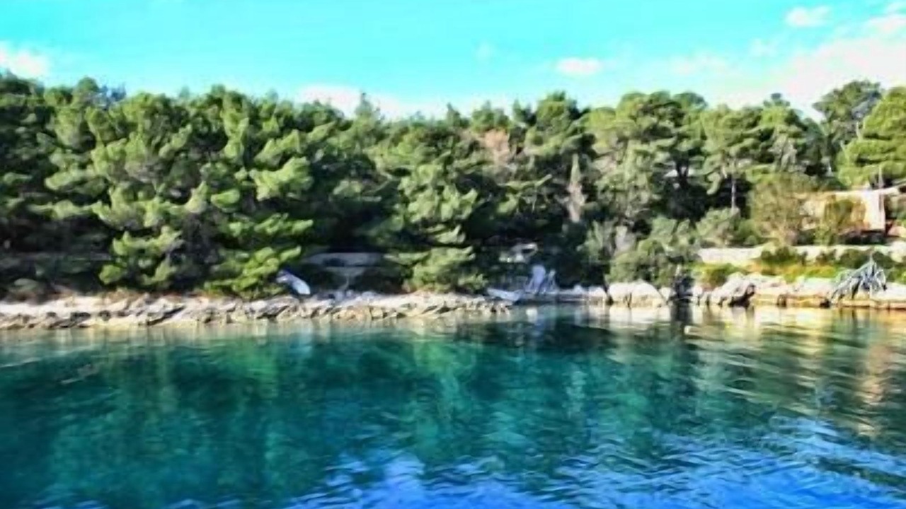 Photo of Others in Molat