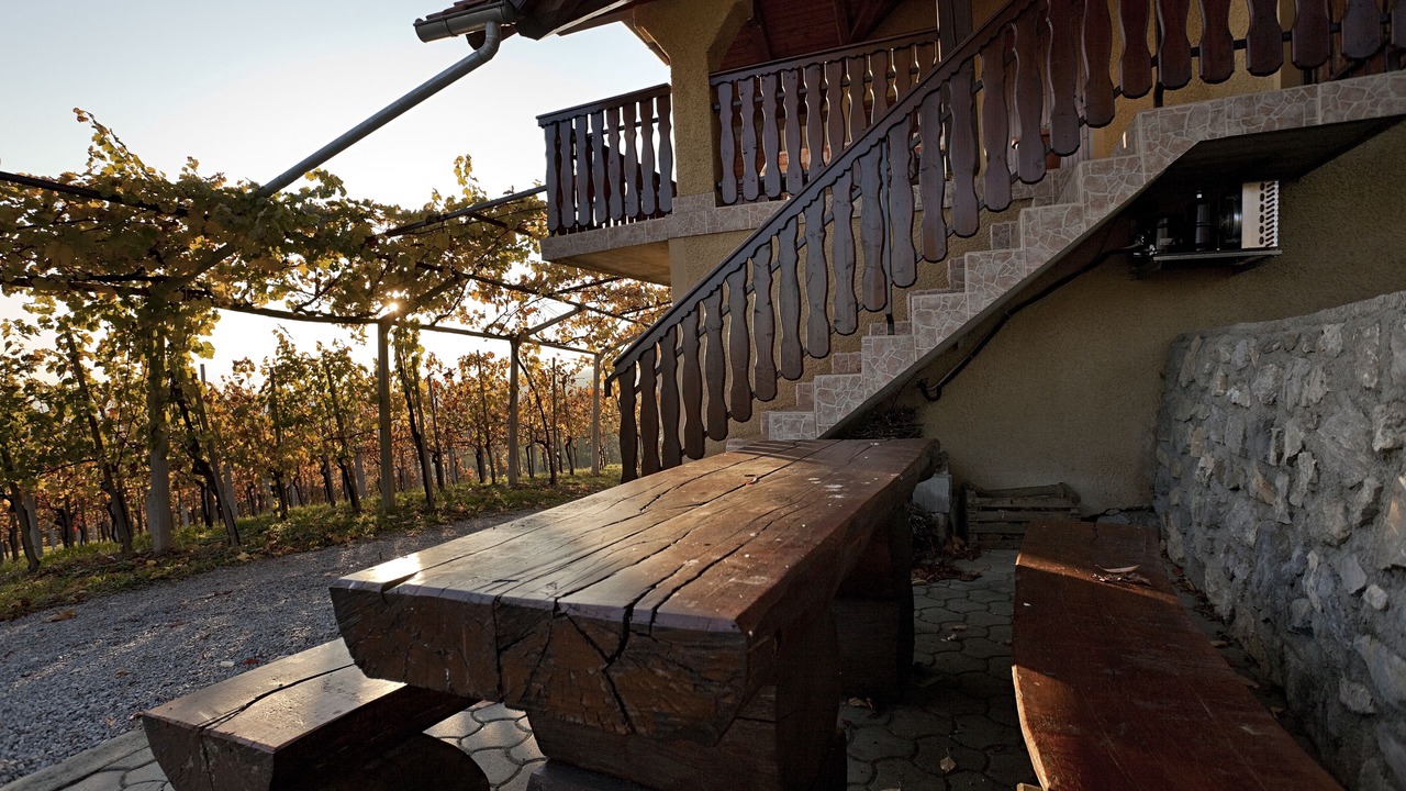 Photo of Outdoor in Drasici