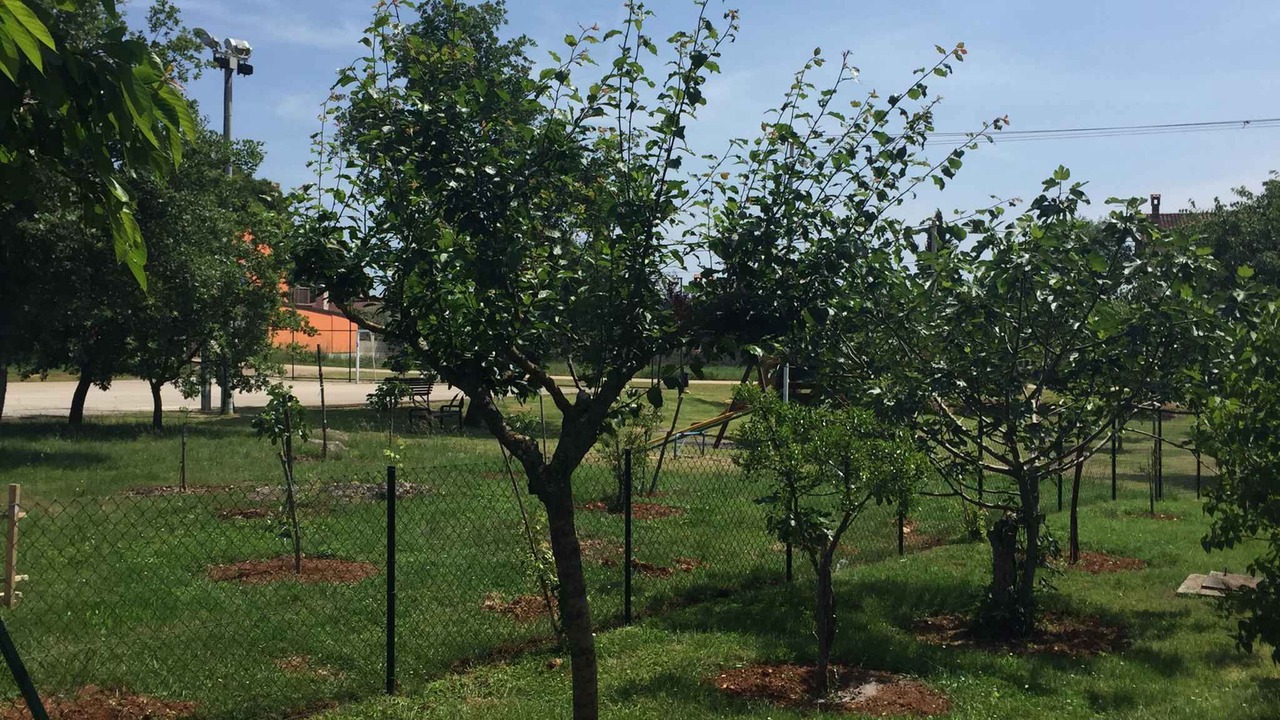 Photo of Outdoor in Veleniki