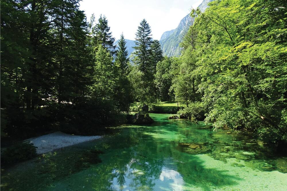 Photo of Others in Bohinjska Bistrica