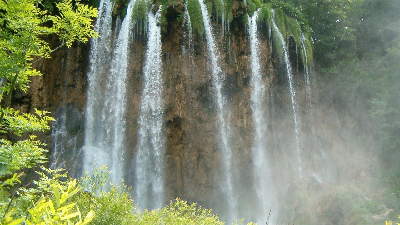 Photo of Others in Rakovica