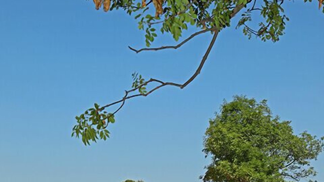 Photo of Outdoor in Zidarici
