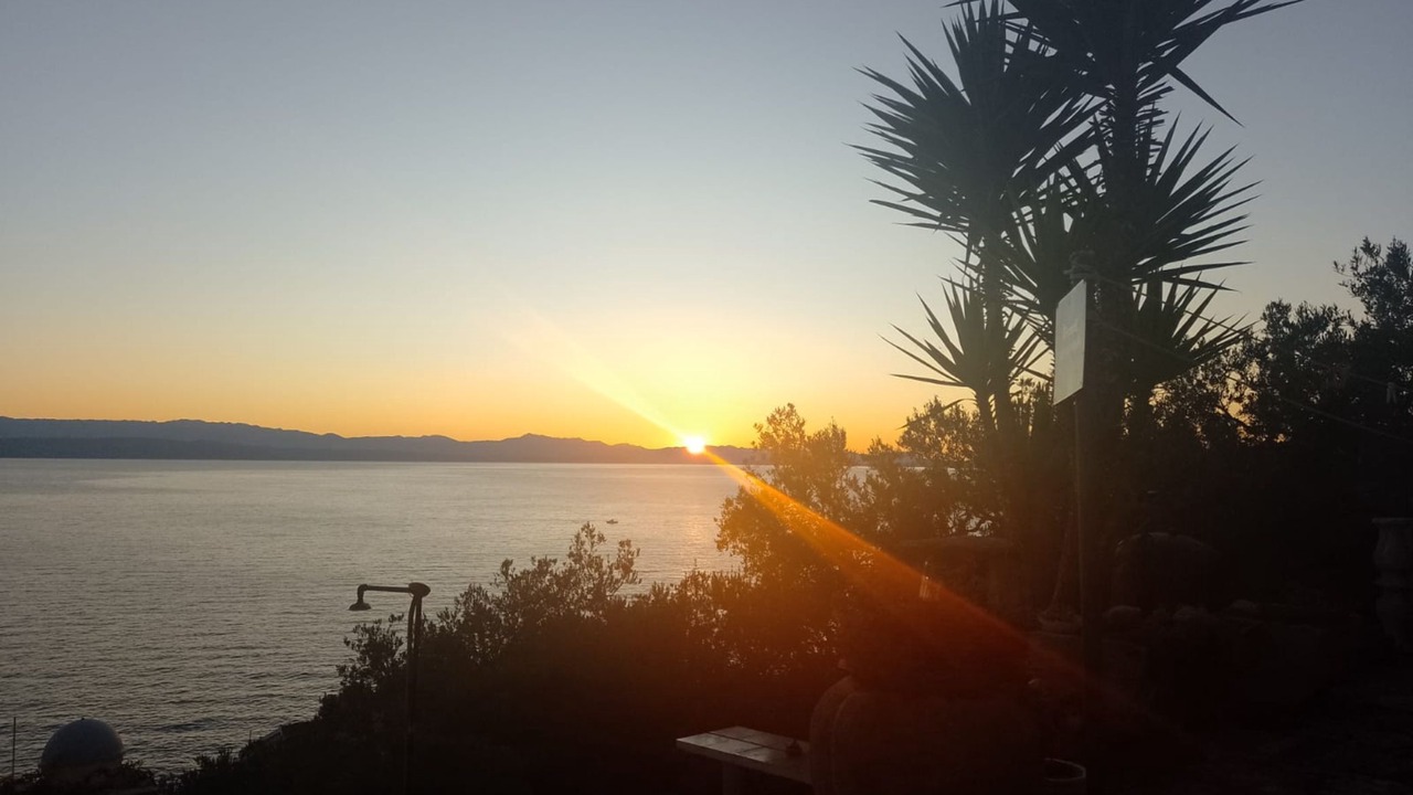 Photo of Others in Vela Luka