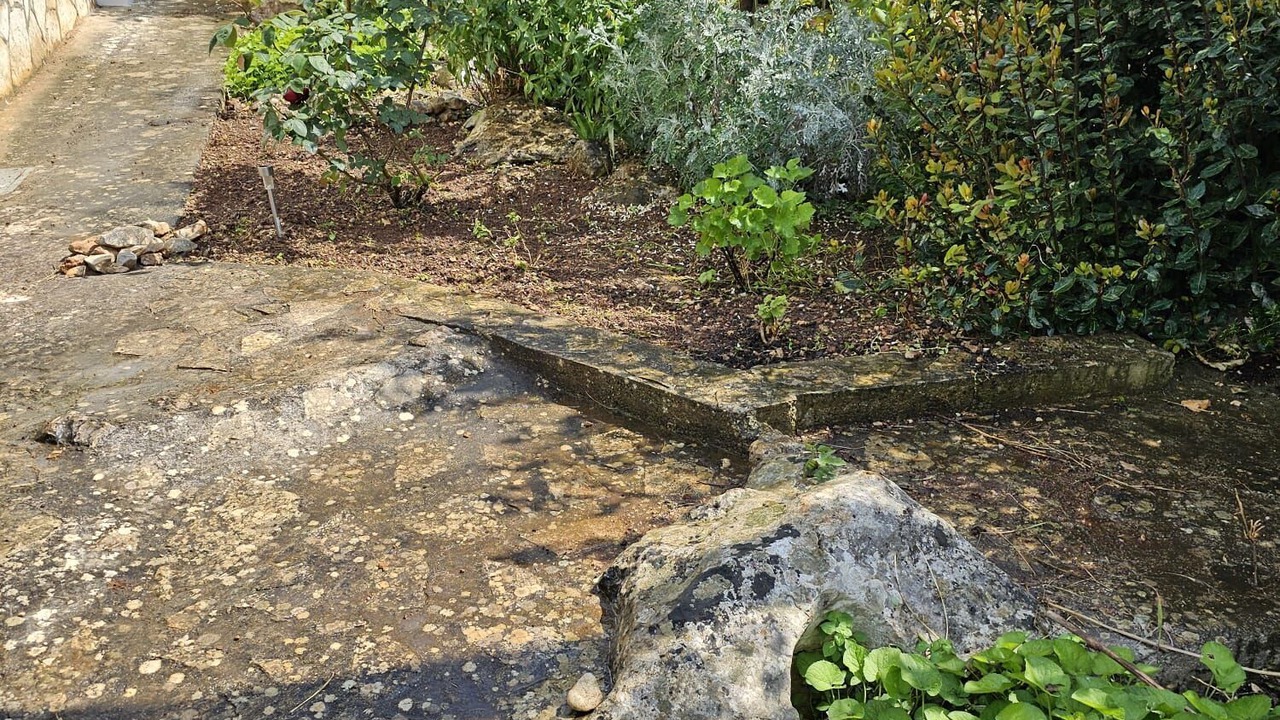 Photo of Outdoor in Okrug Gornji