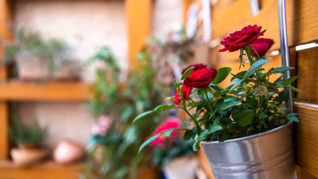 Photo of Patio Balcony in Rakalj