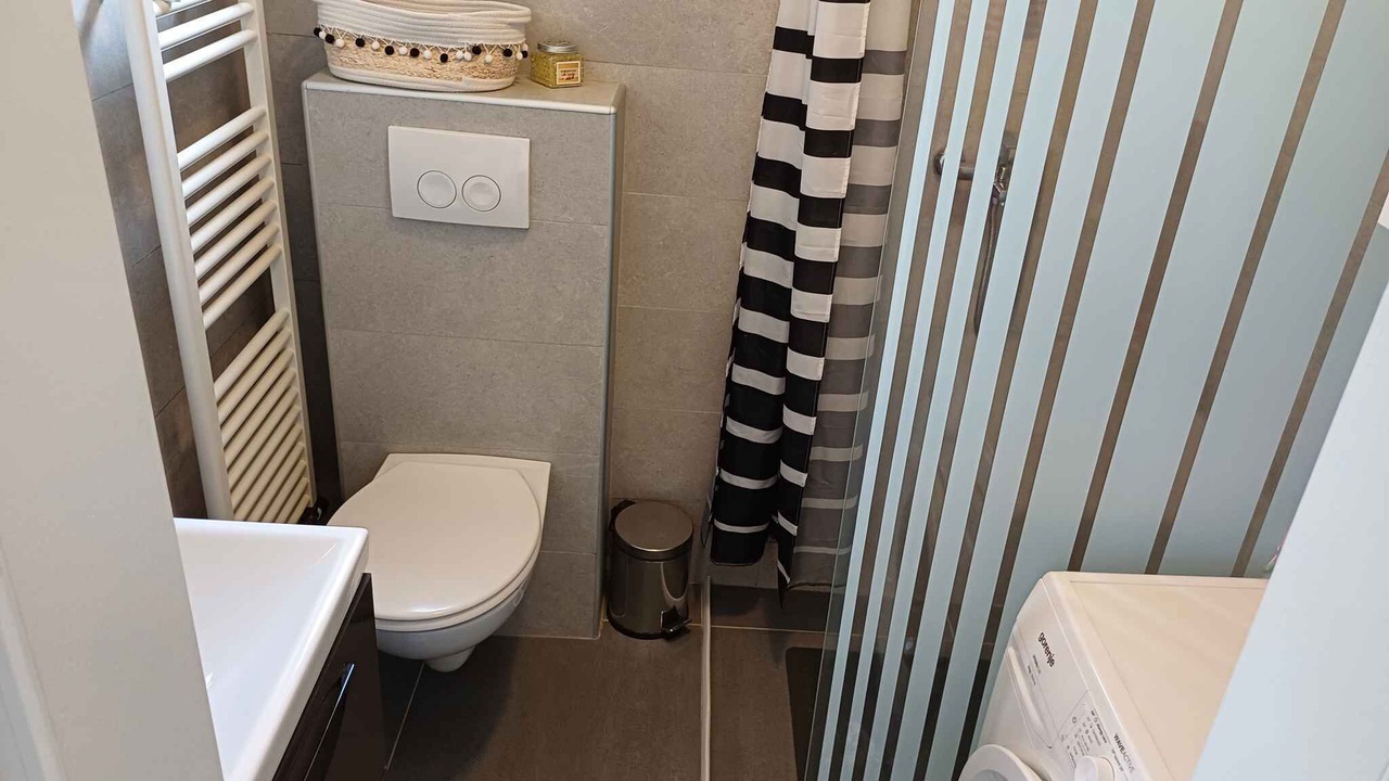 Photo of Bathroom in Milovcici