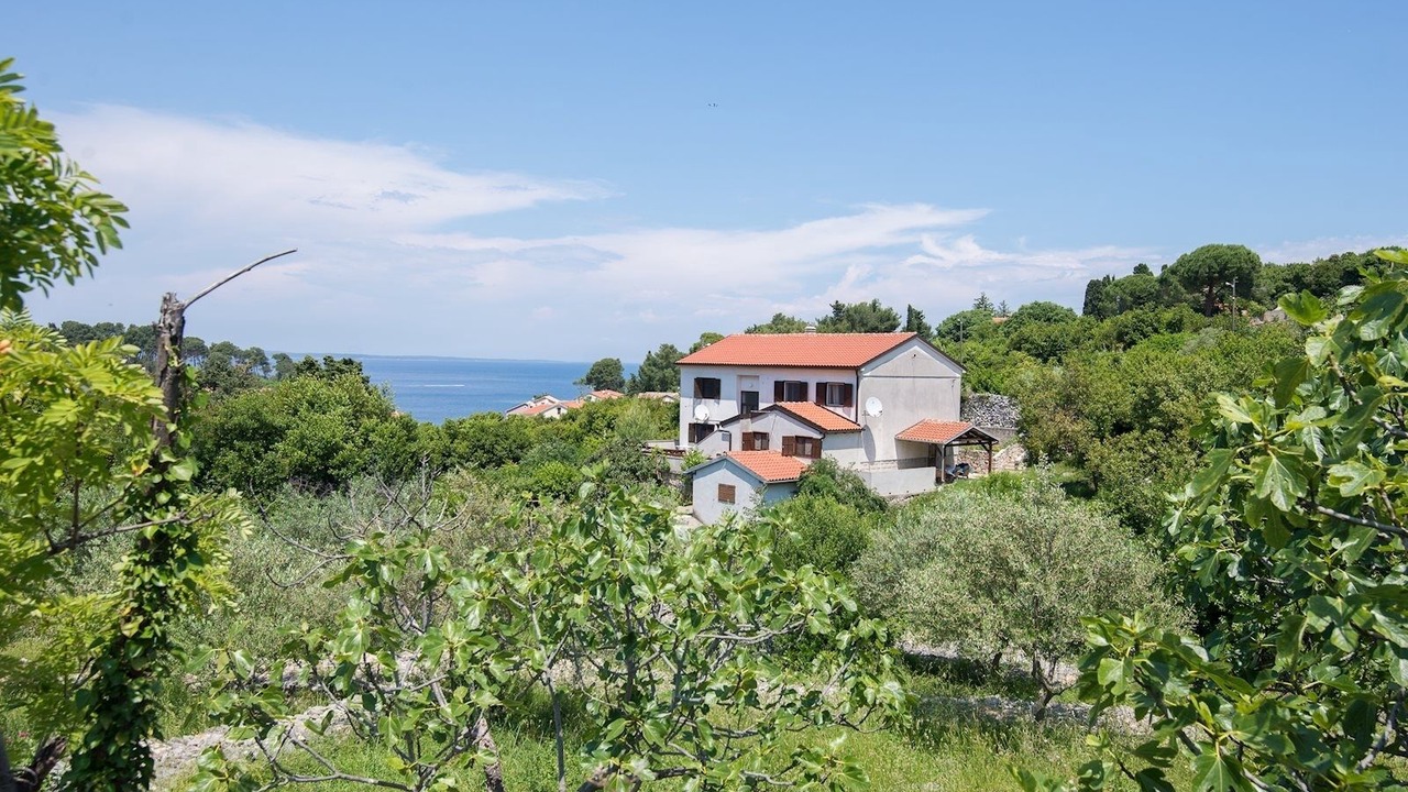 Photo of Outdoor in Veli Losinj