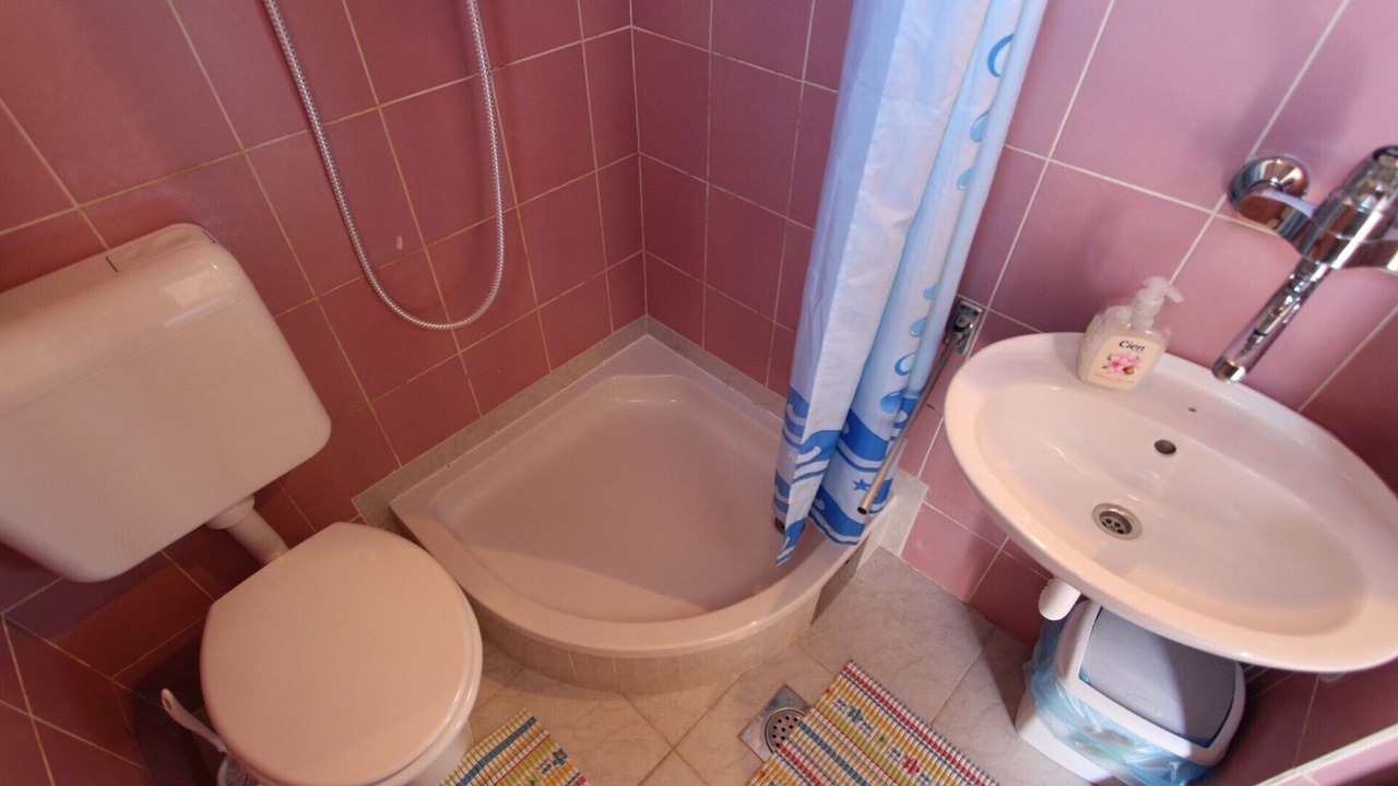 Photo of Bathroom in Milcetici