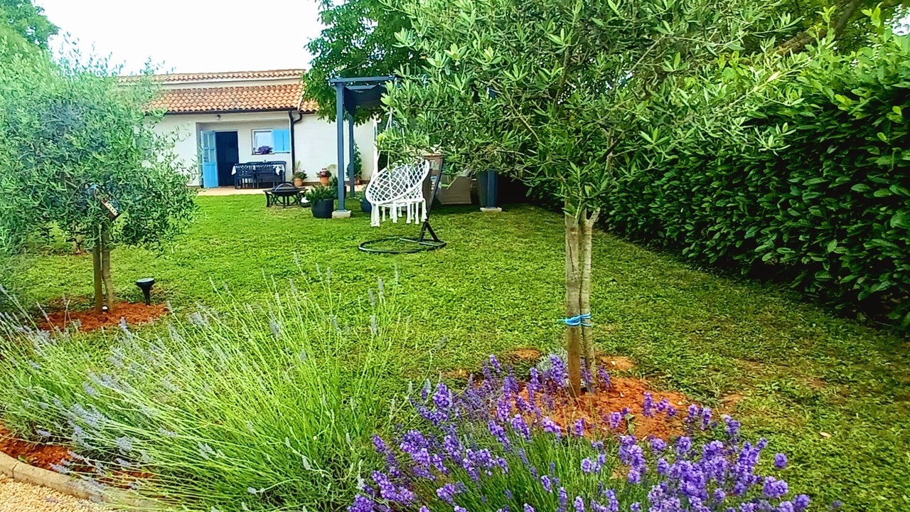 Photo of Outdoor in Liznjan