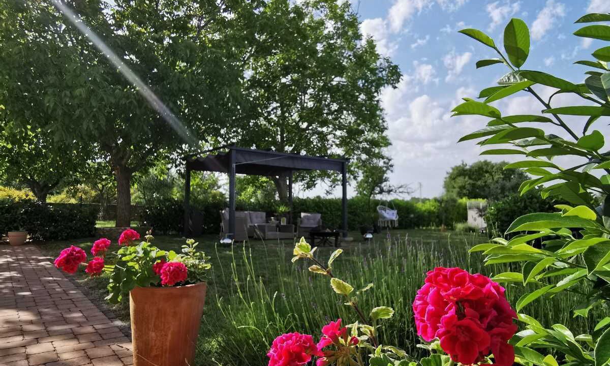 Photo of Outdoor in Liznjan