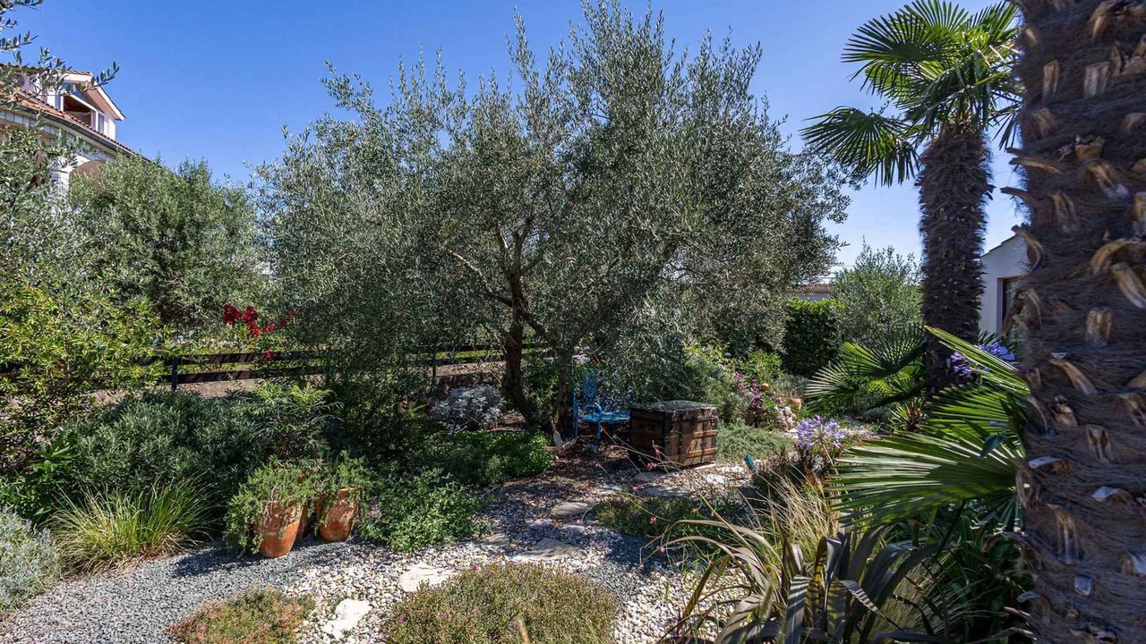 Photo of Outdoor in Milovcici