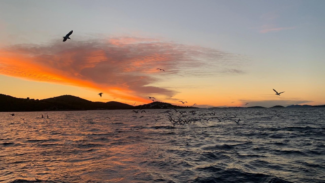 Photo of Others in Kornati