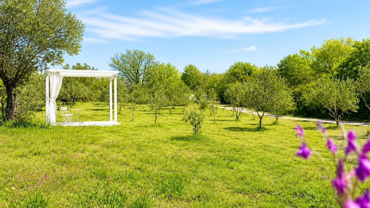Photo of Outdoor in Jursici