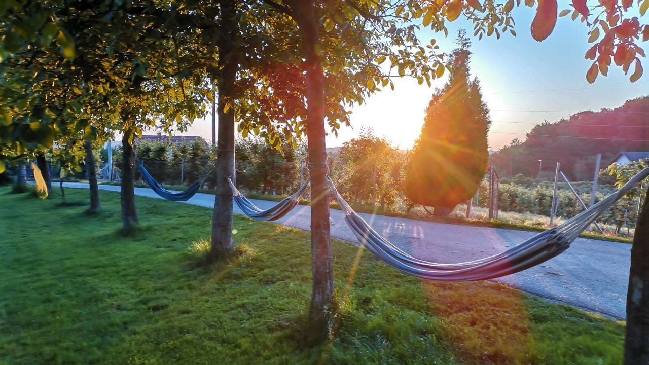 Photo of Outdoor in Slovenska Bistrica