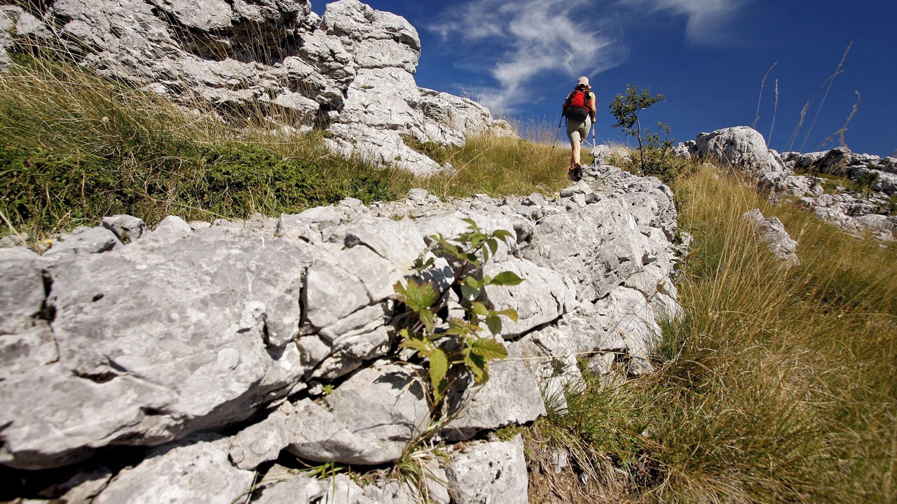 Photo of Others in Cesarica