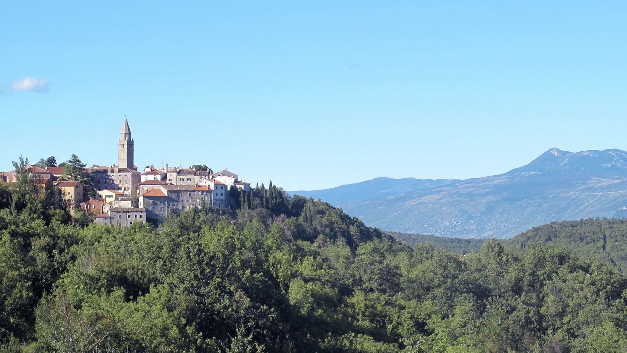 Photo of Others in Boljevici