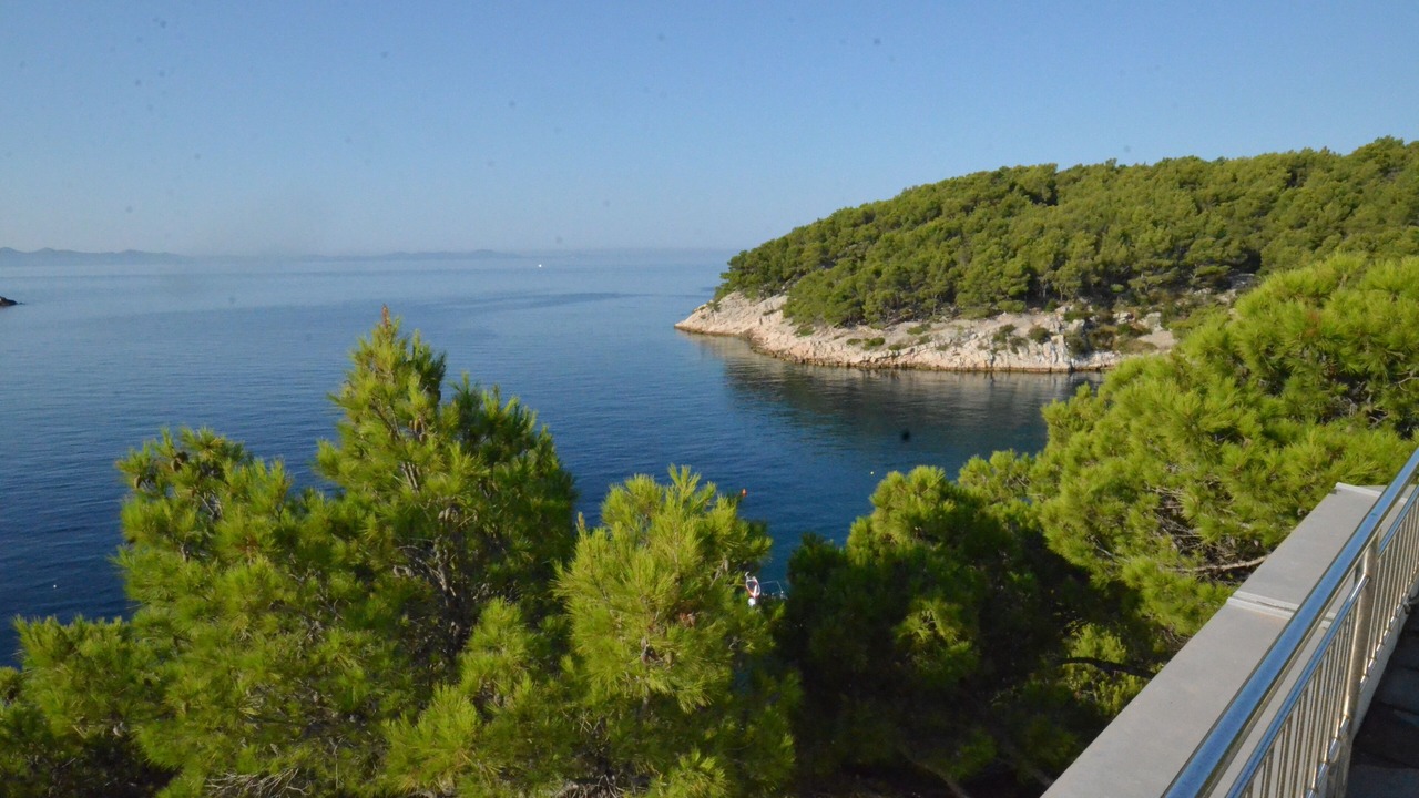 Photo of Others in Cove Osibova (Milna)