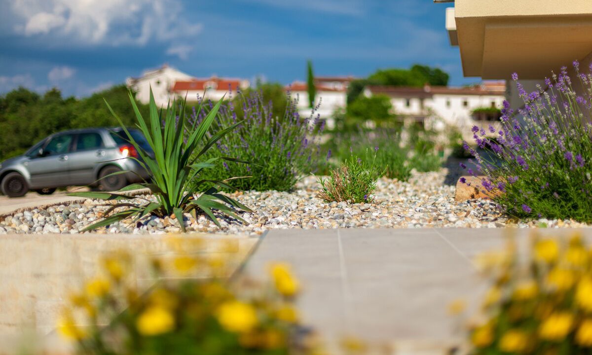 Photo of Outdoor in Zidarici