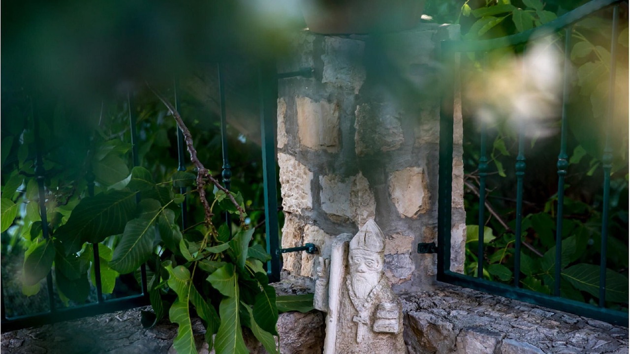 Photo of Outdoor in Trsteno