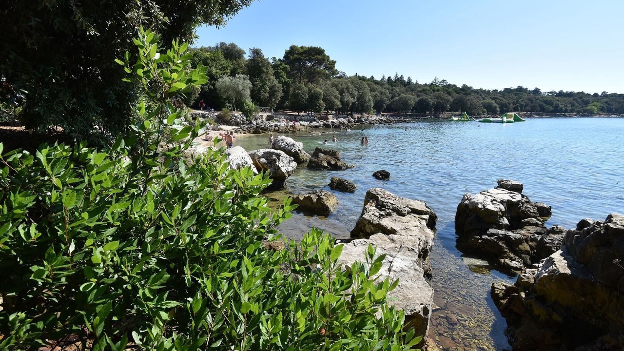 Photo of Others in Nova Vas