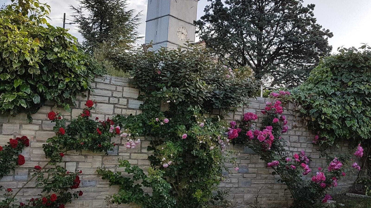 Photo of Outdoor in Nova Vas