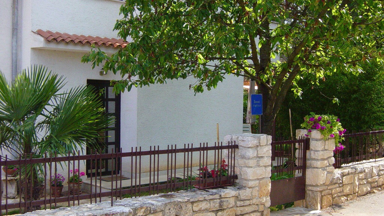 Photo of Outdoor in Borik