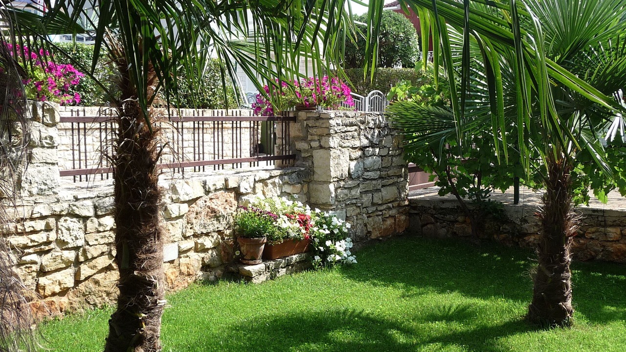Photo of Outdoor in Borik