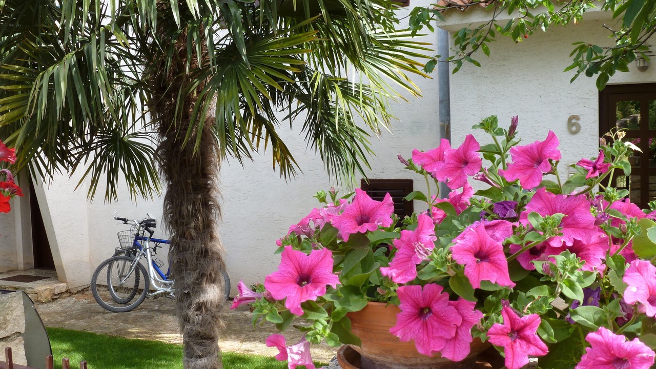 Photo of Outdoor in Borik
