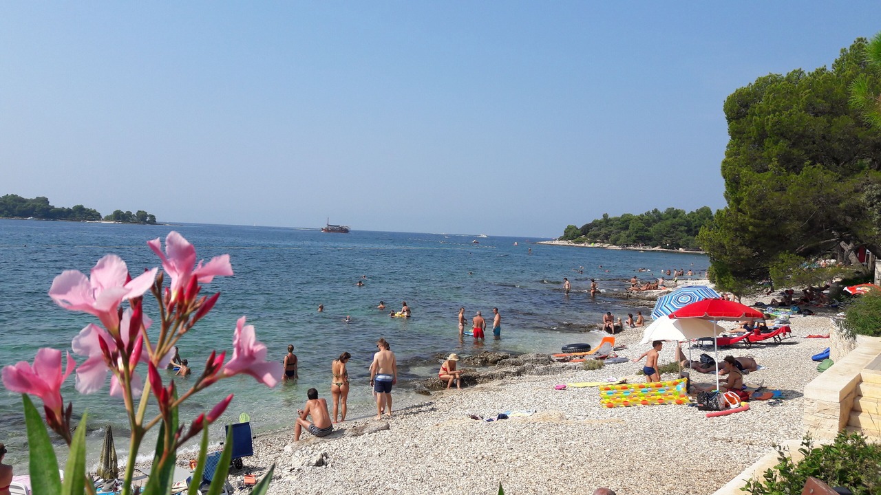 Photo of Others in Borik
