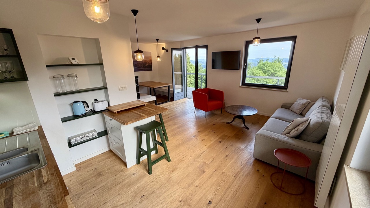 Photo of Livingroom in Senturska Gora