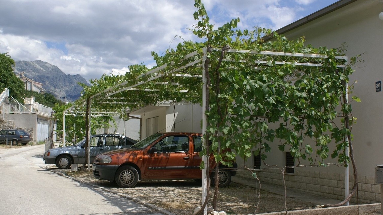 Photo of Others in Pisak