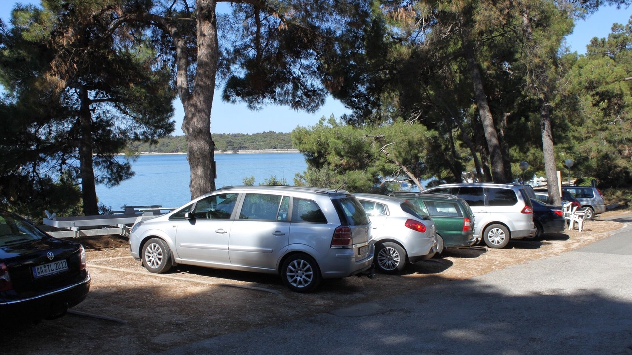 Photo of Others in Cove Murtar