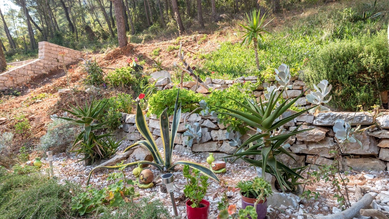 Photo of Outdoor in Zastrazisce