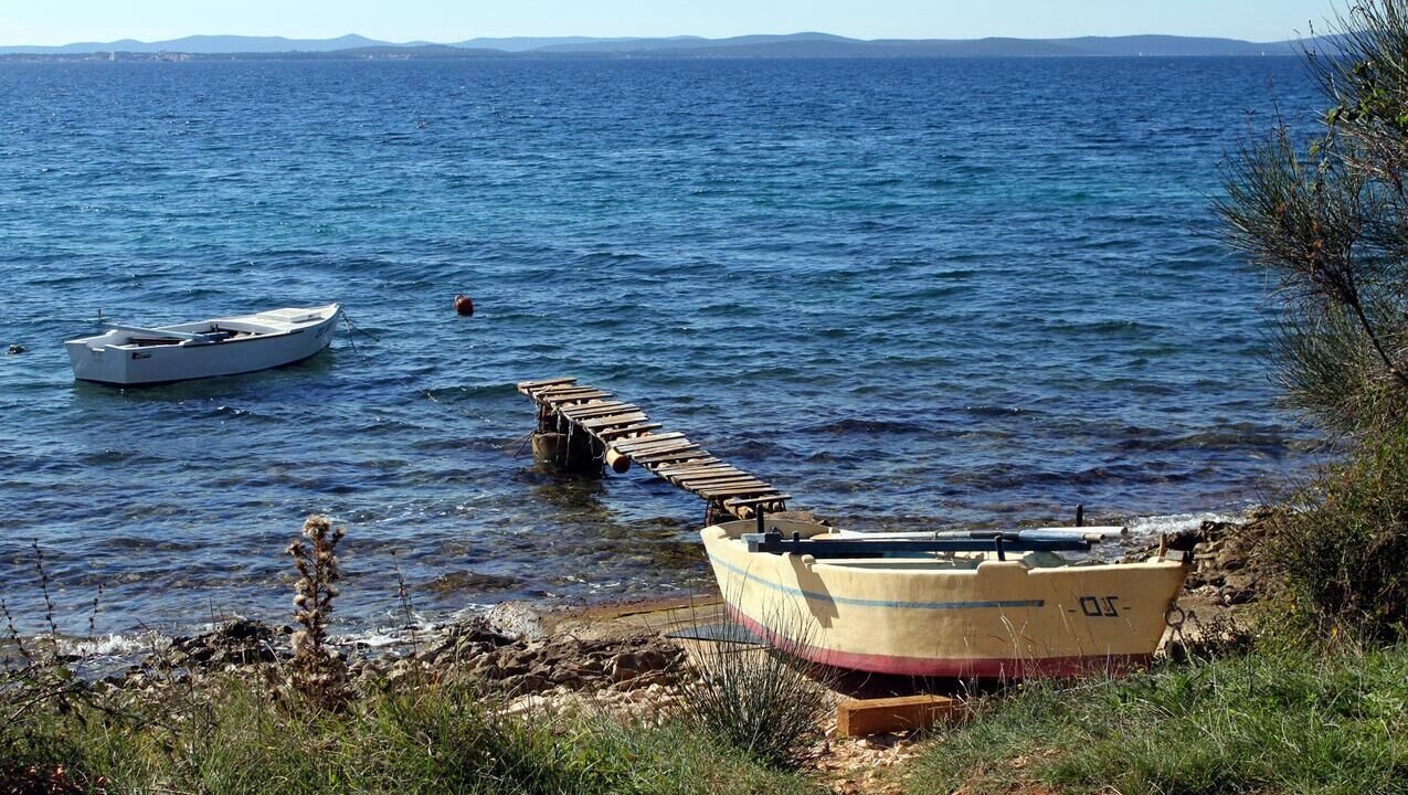 Photo of Others in Kozino