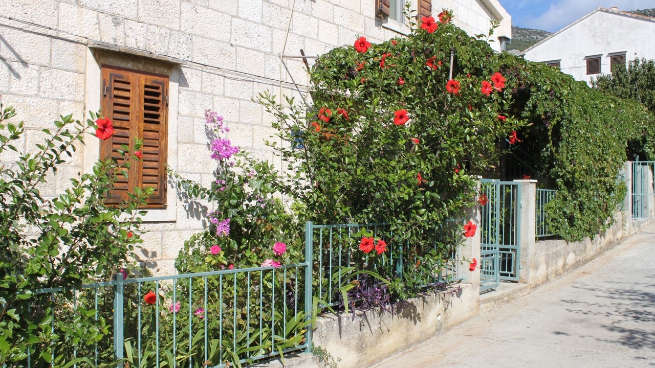Photo of Outdoor in Komiza