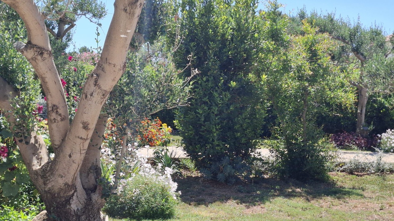Photo of Outdoor in Povljana