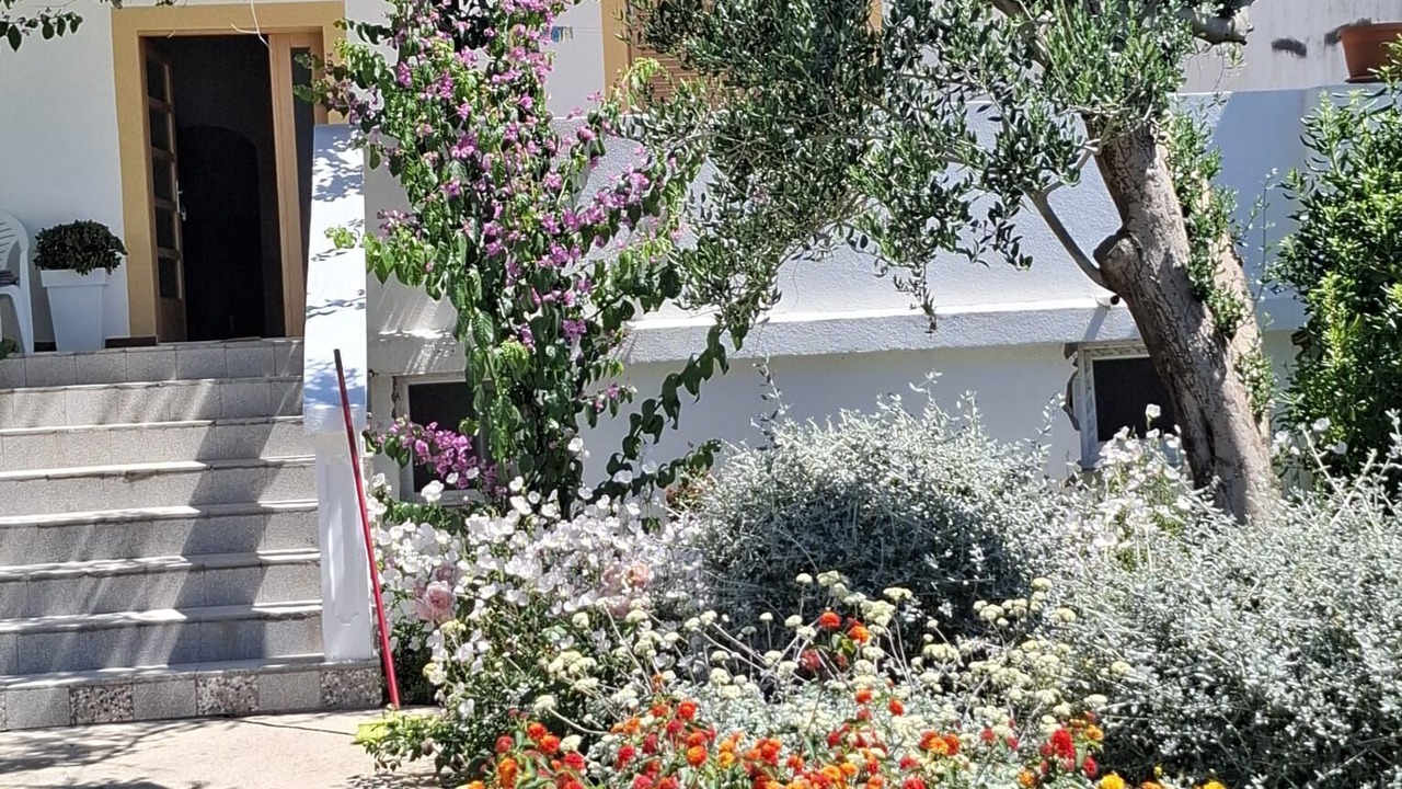Photo of Outdoor in Povljana