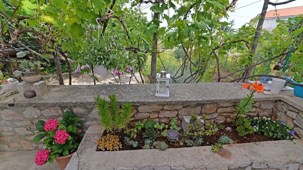 Photo of Outdoor in Veli Losinj