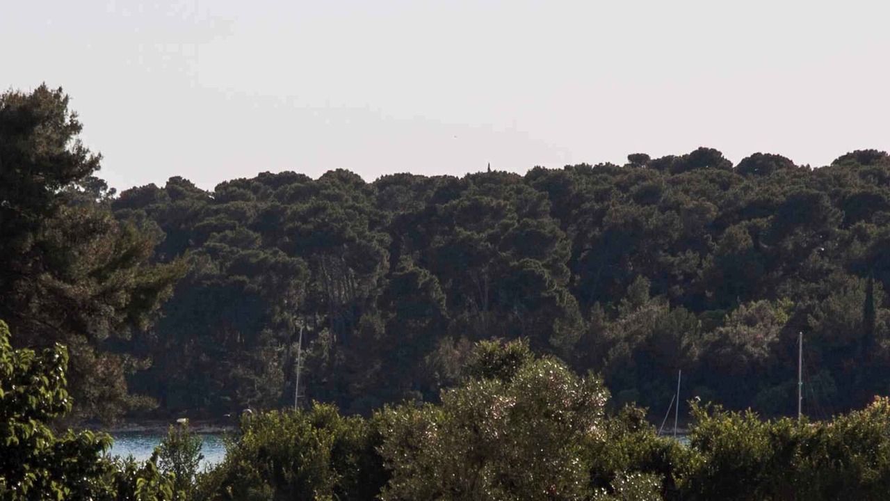 Photo of Others in Borik