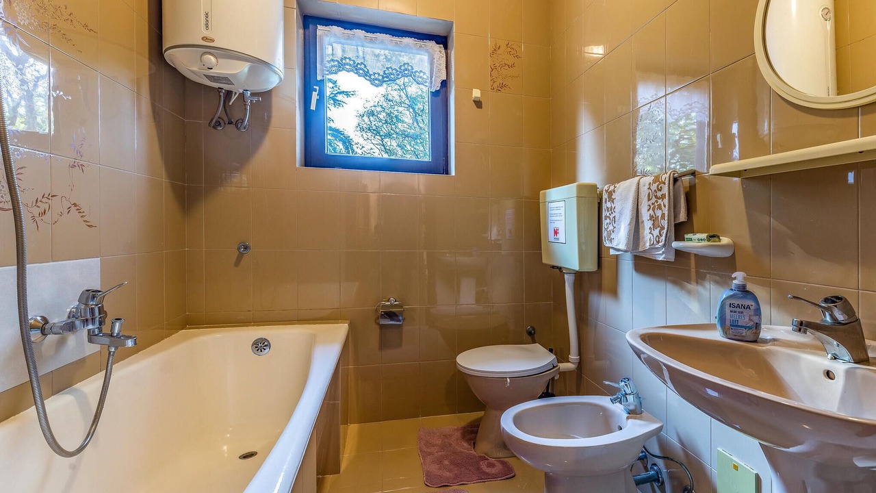 Photo of Bathroom in Medulin