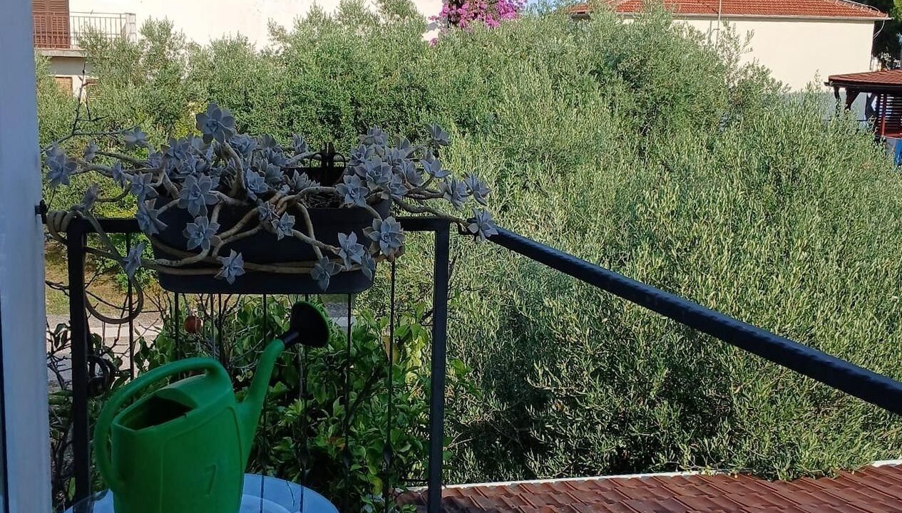 Photo of Patio Balcony in Sucuraj
